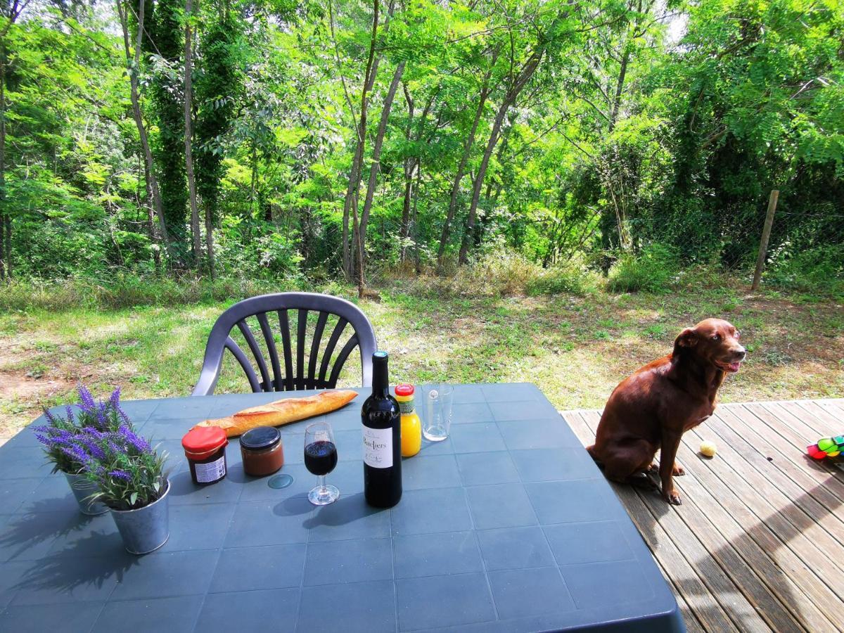 Camping Le Coin Charmant Chauzon Εξωτερικό φωτογραφία